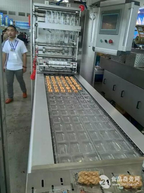 山東廠家直銷 高效可靠的地瓜干休閑食品真空包裝設備解決方案